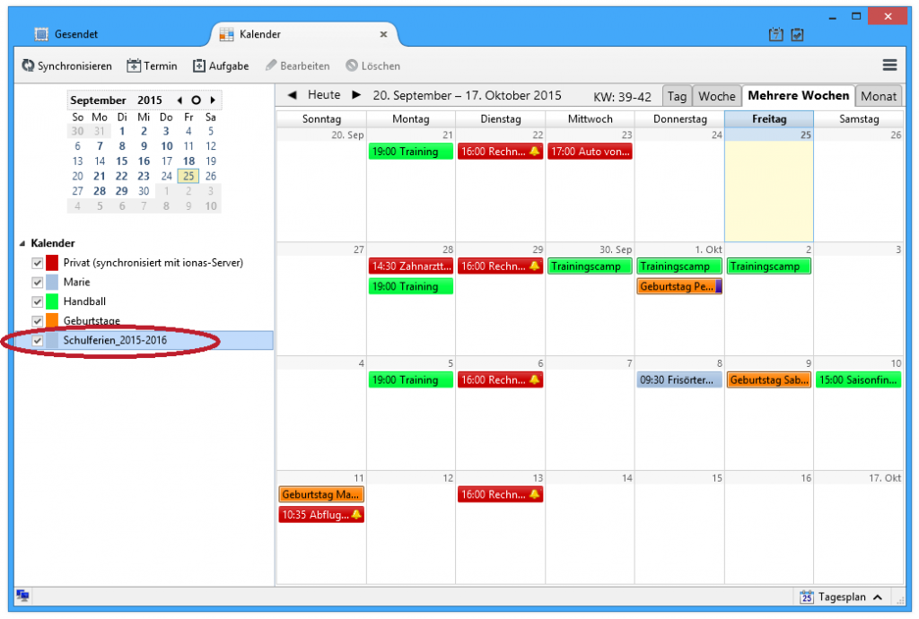 Screenshot Netzwerkkalender in Thunderbird Lightning